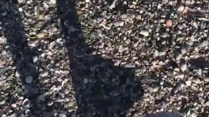 Black Man Feet