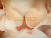 Persian Escort Gives 5 star Services 3/16