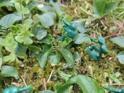 Your giantess crushes shrunken soldiers in the garden with these huge boots 1/16