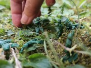 Your giantess crushes shrunken soldiers in the garden with these huge boots 13/16