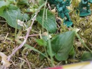 Your giantess crushes shrunken soldiers in the garden with these huge boots 4/16