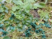 Your giantess crushes shrunken soldiers in the garden with these huge boots 8/16