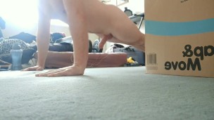 Midday Workout