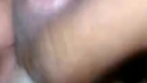 El tigre mastubadose segunda parte 2