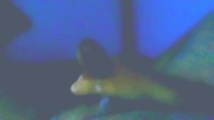 Morning Wood Release Stress Relief Huge Load of Cum Ejaculated From Big Mexican Thick Dick