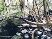 Jour 7 (VLOG) : TOURNAGE FORET 12/16