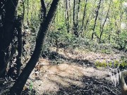 Jour 7 (VLOG) : TOURNAGE FORET 4/16