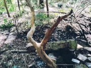 Jour 7 (VLOG) : TOURNAGE FORET 6/16