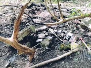 Jour 7 (VLOG) : TOURNAGE FORET 7/16