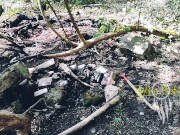 Jour 7 (VLOG) : TOURNAGE FORET 8/16