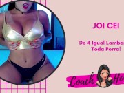 De Quatro Lambendo Toda Porra! | JOI CEI | Punheta Guiada | #20 15/16