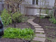 After the rain in the garden 1/16