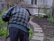 After the rain in the garden 10/16