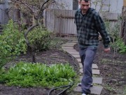 After the rain in the garden