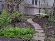 After the rain in the garden 2/16