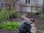 After the rain in the garden 3/16