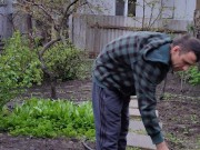 After the rain in the garden 4/16