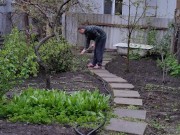 After the rain in the garden 6/16