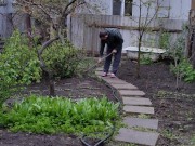 After the rain in the garden 7/16