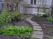 After the rain in the garden 8/16