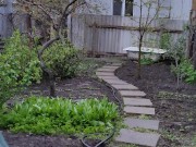 After the rain in the garden 9/16