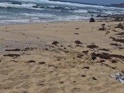Fille qui bronze seins nus se fait baiser à la plage sur le sable, Naemyia 16/16