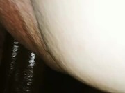 Glazed Kitty 🐈 - Screenshot 6 of 16 - HD