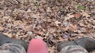 BushPlay