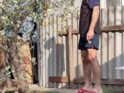 Blooming cherry 16/16