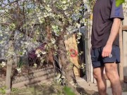 Blooming cherry 4/16