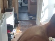 Baked Easter cakes 9/16