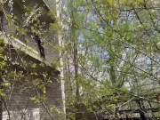 Caught a hooligan girl and got a reward 1/16