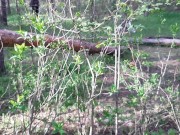 Меня с девушкой застукала прохожая в лесу, которая наблюдала за нашим сексом - lesbian_illusion 3/16