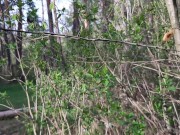 Меня с девушкой застукала прохожая в лесу, которая наблюдала за нашим сексом - lesbian_illusion 4/16