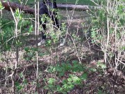 Меня с девушкой застукала прохожая в лесу, которая наблюдала за нашим сексом - lesbian_illusion 5/16