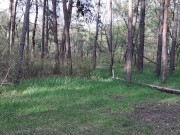 Наш секс в лесу сняла на камеру подруга, которая нас случайно застукала - lesbian_illusion 2/16