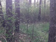 Наш секс в лесу сняла на камеру подруга, которая нас случайно застукала - lesbian_illusion 3/16