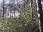 Секс на свежем воздухе больше вставляет, кончаю в рот, часть 2 - lesbian_illusion 4/16