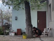 Under a flowering pear 6/16
