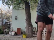 Under a flowering pear 9/16