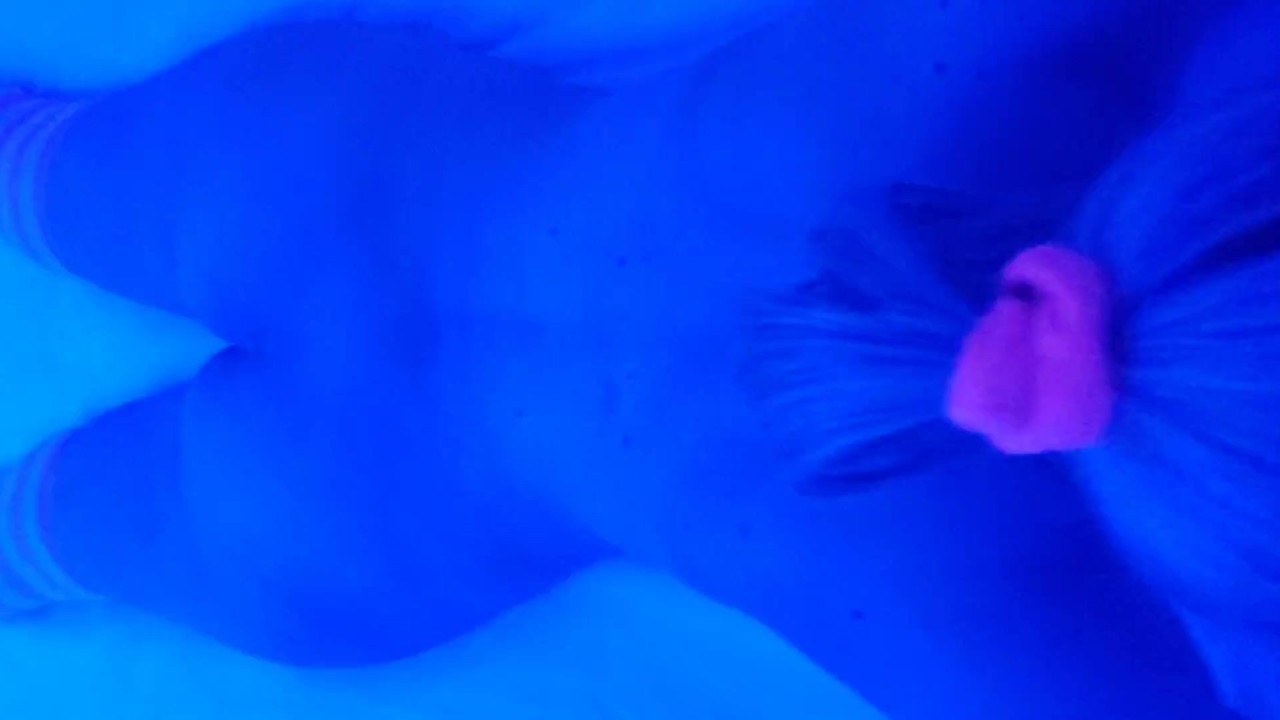 Blonde has unexpected ANAL sex and has crazy ANAL orgasms - Video di sesso gratis - RedTube