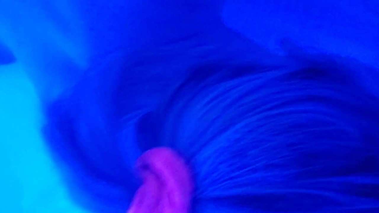 Blonde has unexpected ANAL sex and has crazy ANAL orgasms - Video di sesso gratis - RedTube
