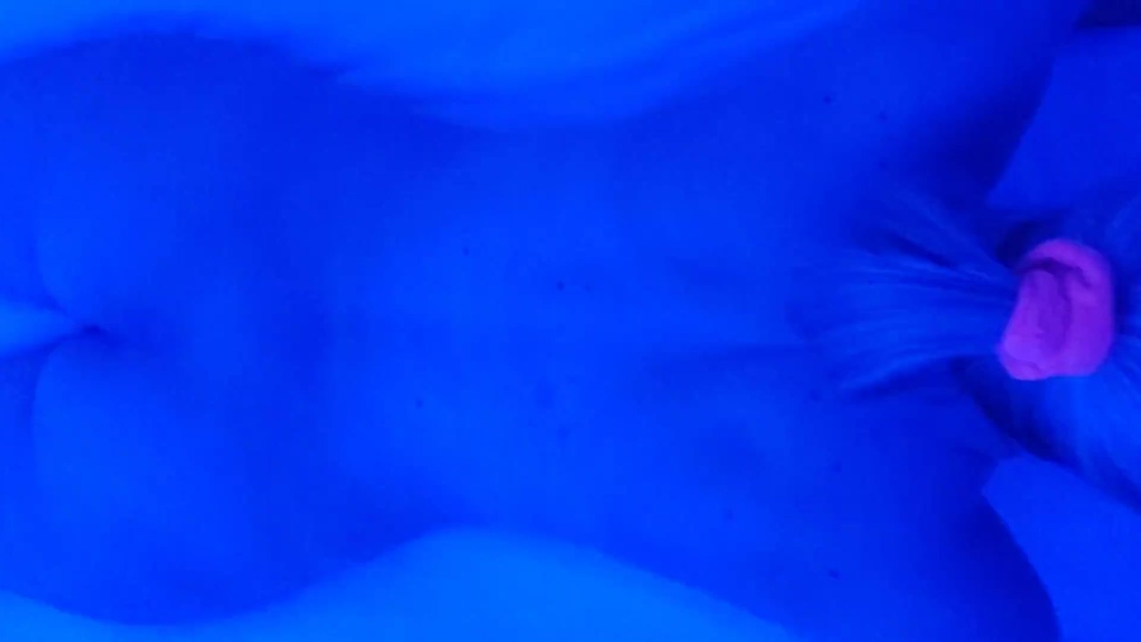 Blonde has unexpected ANAL sex and has crazy ANAL orgasms - Video di sesso gratis - RedTube