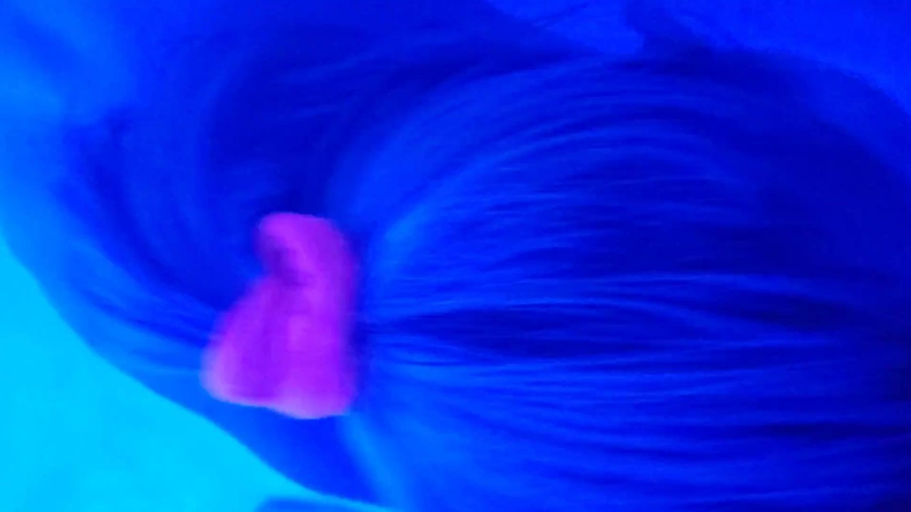 Blonde has unexpected ANAL sex and has crazy ANAL orgasms - Video di sesso gratis - RedTube