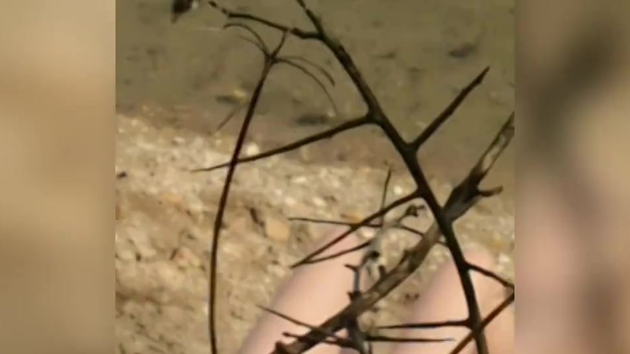 Salope française aux gros seins s'exibe nue sur une plage - RedTube