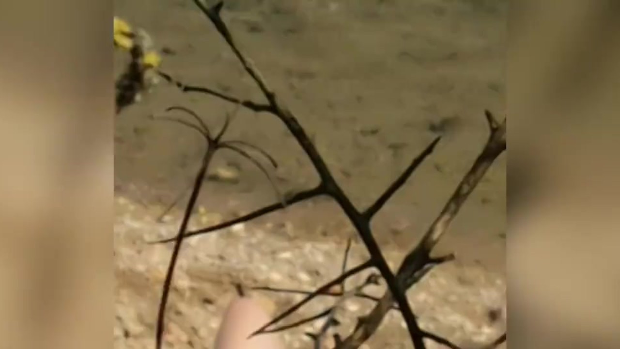 Salope française aux gros seins s'exibe nue sur une plage - RedTube