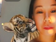 Cute Tiger - Screenshot 10 of 16 - Tiny Tits