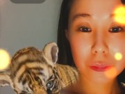 Cute Tiger - Screenshot 11 of 16 - Small Boobs