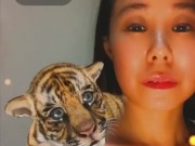 Cute Tiger - Screenshot 12 of 16 - Petite Asian