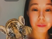 Cute Tiger - Screenshot 14 of 16 - Tiny Tits